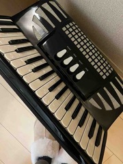 ��������ʤ���❤️