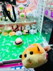 取れた!😊