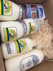 ������Υ�����