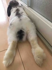 9��Τ褦�ʽ뤵