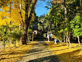晩秋