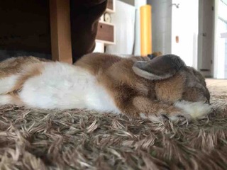 �����������ԡ�����💤