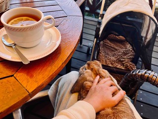 �����Ǥ�💕