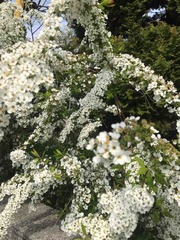 IMG_0072