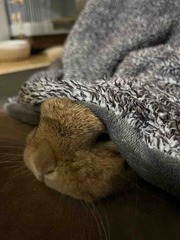 �����߻���