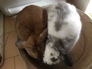 ������ʸ��