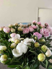 この季節になると