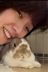 🐰