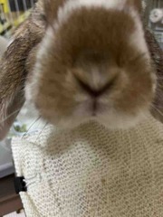 ���󤺤�����渫��