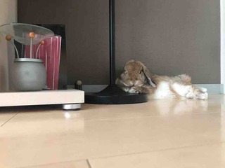 あつい