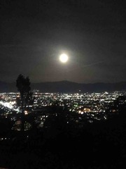 IMG_0381