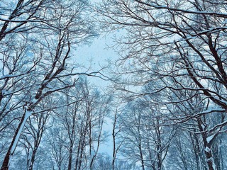 ❄︎���❄︎