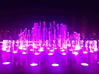 IMG_4631