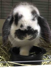 CM�Υʥ�Ͽ��