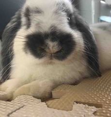 �ʤ��ʤ˼椫�줿��ͳw