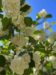 レコーディング