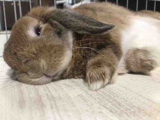 �⤦ī�����