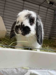 ����
