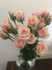 IMG_0678