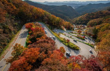 ママ友「山道で遭難したの！今すぐ助けに来て(泣)」私「今どこか分かる？」ママ友「分かんない」私「じゃあムリ。警察に通報するね」→結果…