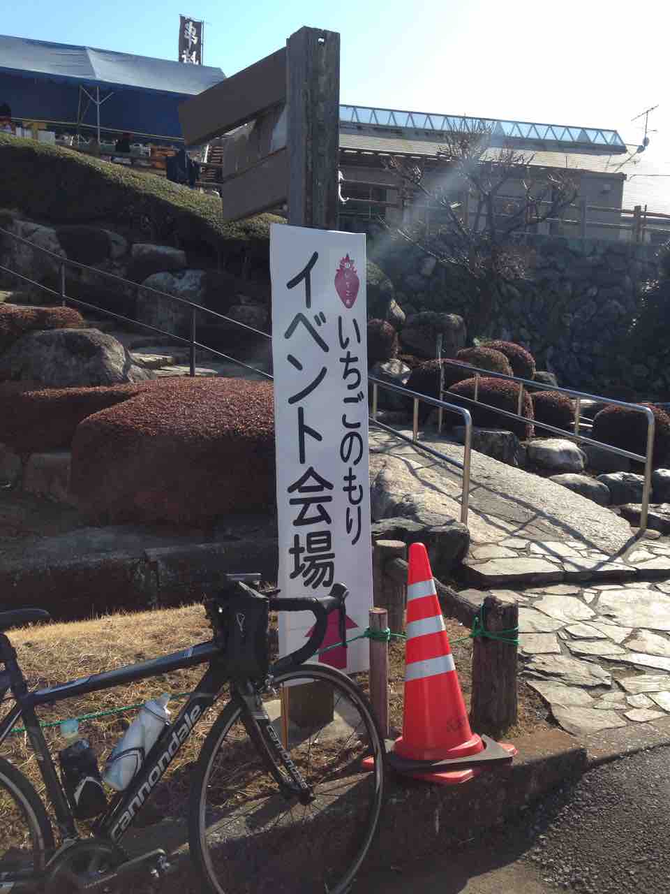 鹿沼市いちごのもり ぽん太りん 週末はポタリング