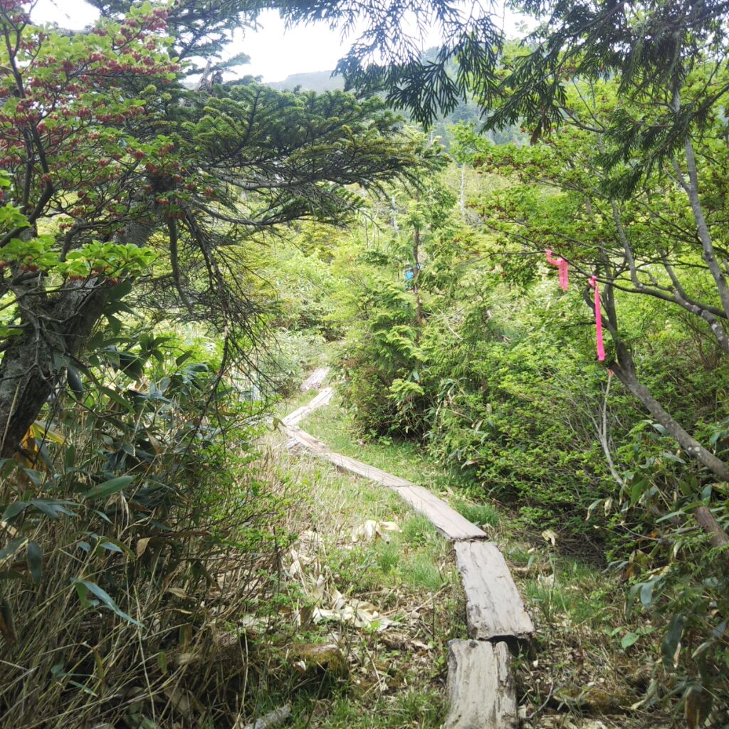 田代山ハイキング ぽん太りん 週末はポタリング 田代山ハイキング ぽん太りん 週末はポタリング