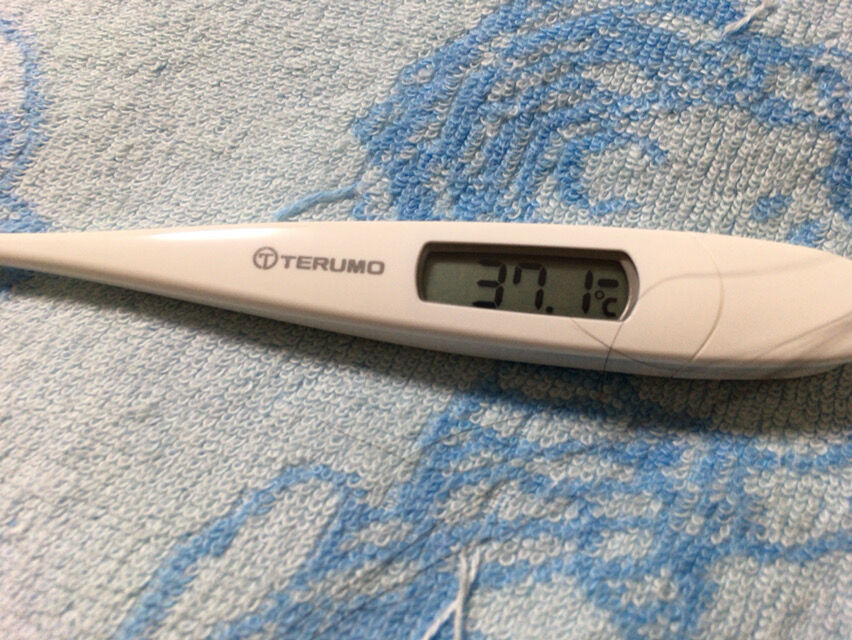 微熱さん ポニョに似てるらしいですよ ｗ