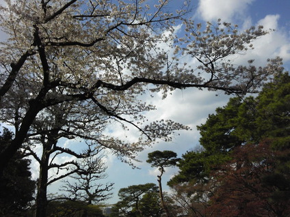140405_152904