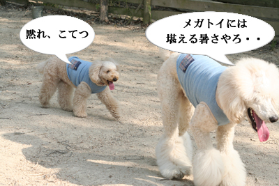 はじめまして でこぼこ兄弟です 後編 Wanだふるらいふ はじめまして でこぼこ兄弟です 後編 Wanだふるらいふ