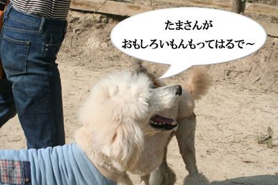 はじめまして でこぼこ兄弟です 後編 Wanだふるらいふ はじめまして でこぼこ兄弟です 後編 Wanだふるらいふ