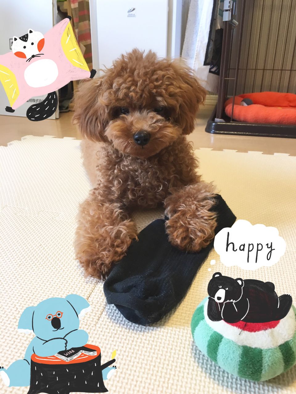 死ぬほど可愛いため息 ふうたの成長日記 死ぬほど可愛いため息 ふうたの成長日記