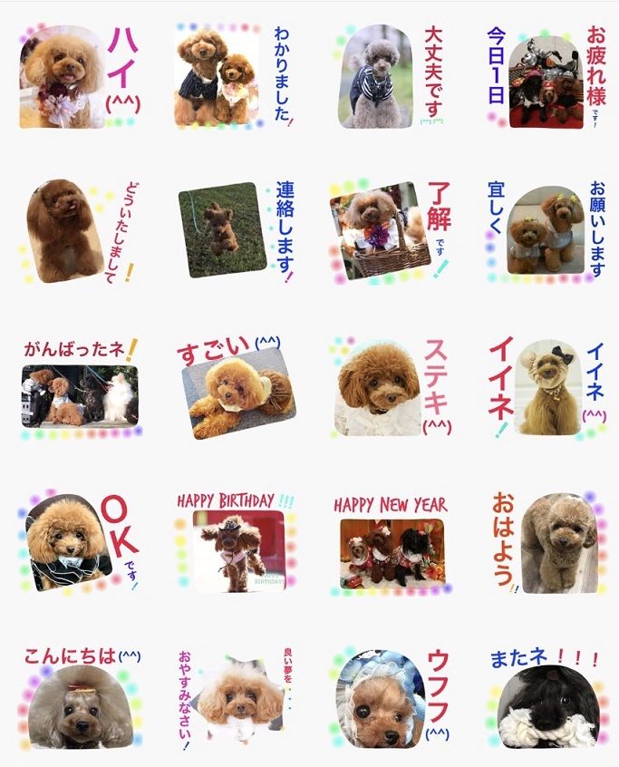 イメージ 6