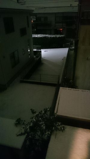 【MHX】この程度雪のうちに入らん…と言いたいが、山手線止まってるんだよなあ