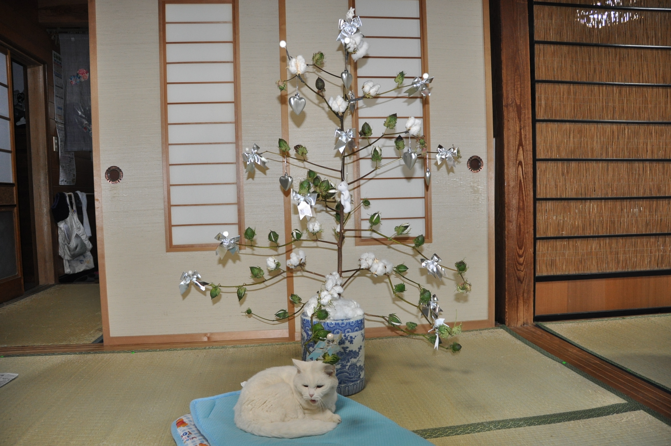 綿のクリスマスツリー リース 眠りを愉しむ 糸賀ふとん店 東京西川チェーン