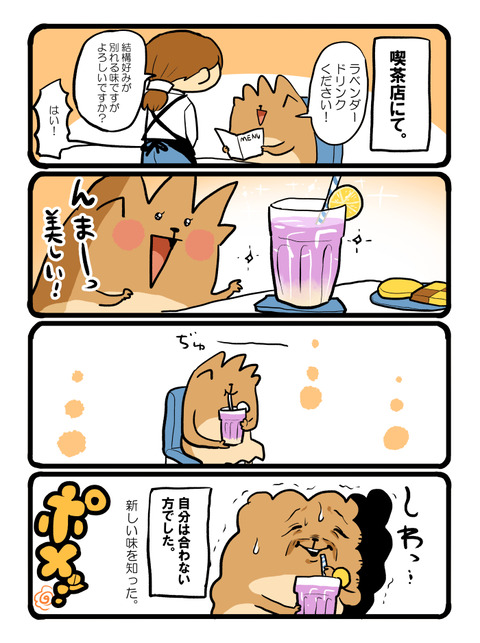ポメブログ1727