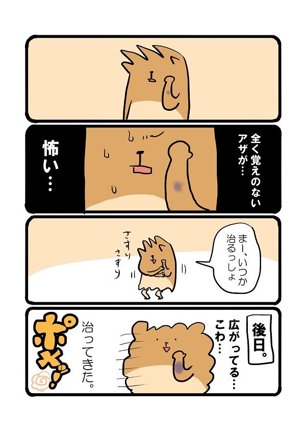 身に覚えのないアザ 自分をポメる日々 身に覚えのないアザ 自分をポメる日々