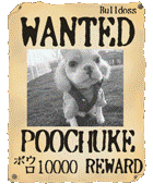 WANTED