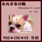 �դ�֤����