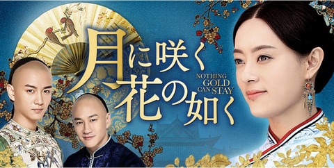 スン・リー_月に咲く花の如く（公式サイト）