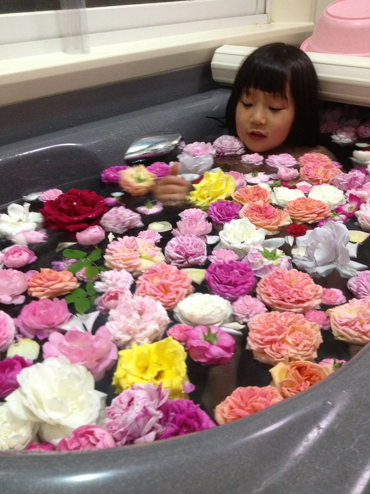 薔薇風呂 La Vie En Rose 薔薇風呂 La Vie En Rose