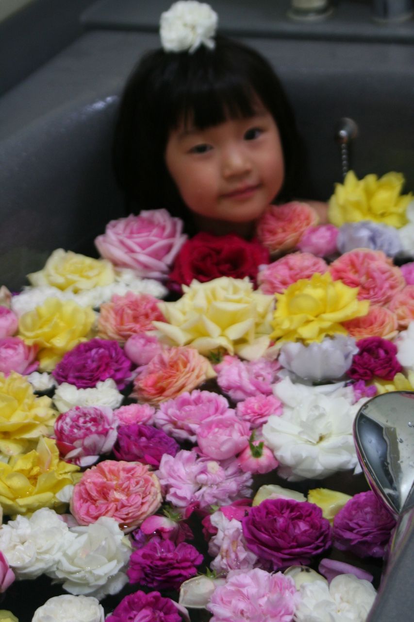 薔薇風呂の季節 La Vie En Rose 薔薇風呂の季節 La Vie En Rose