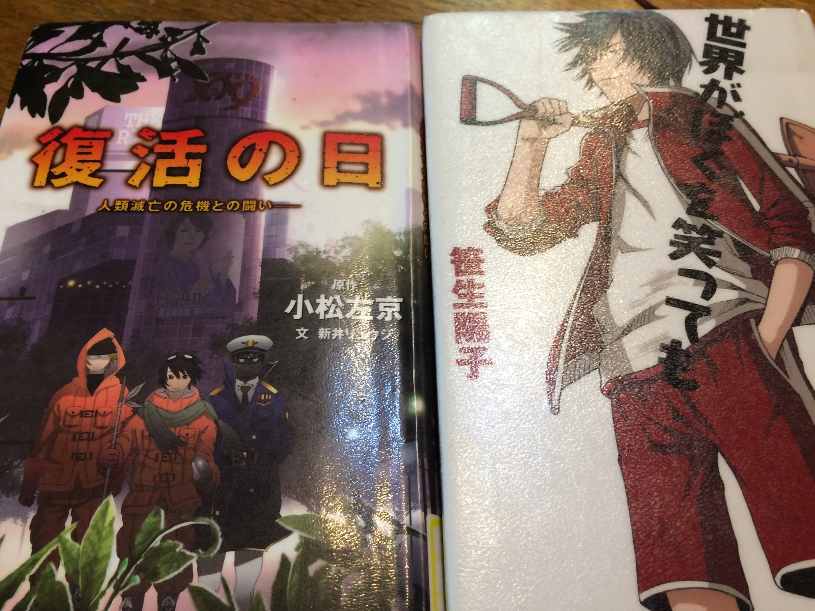 読書の夏 La Vie En Rose