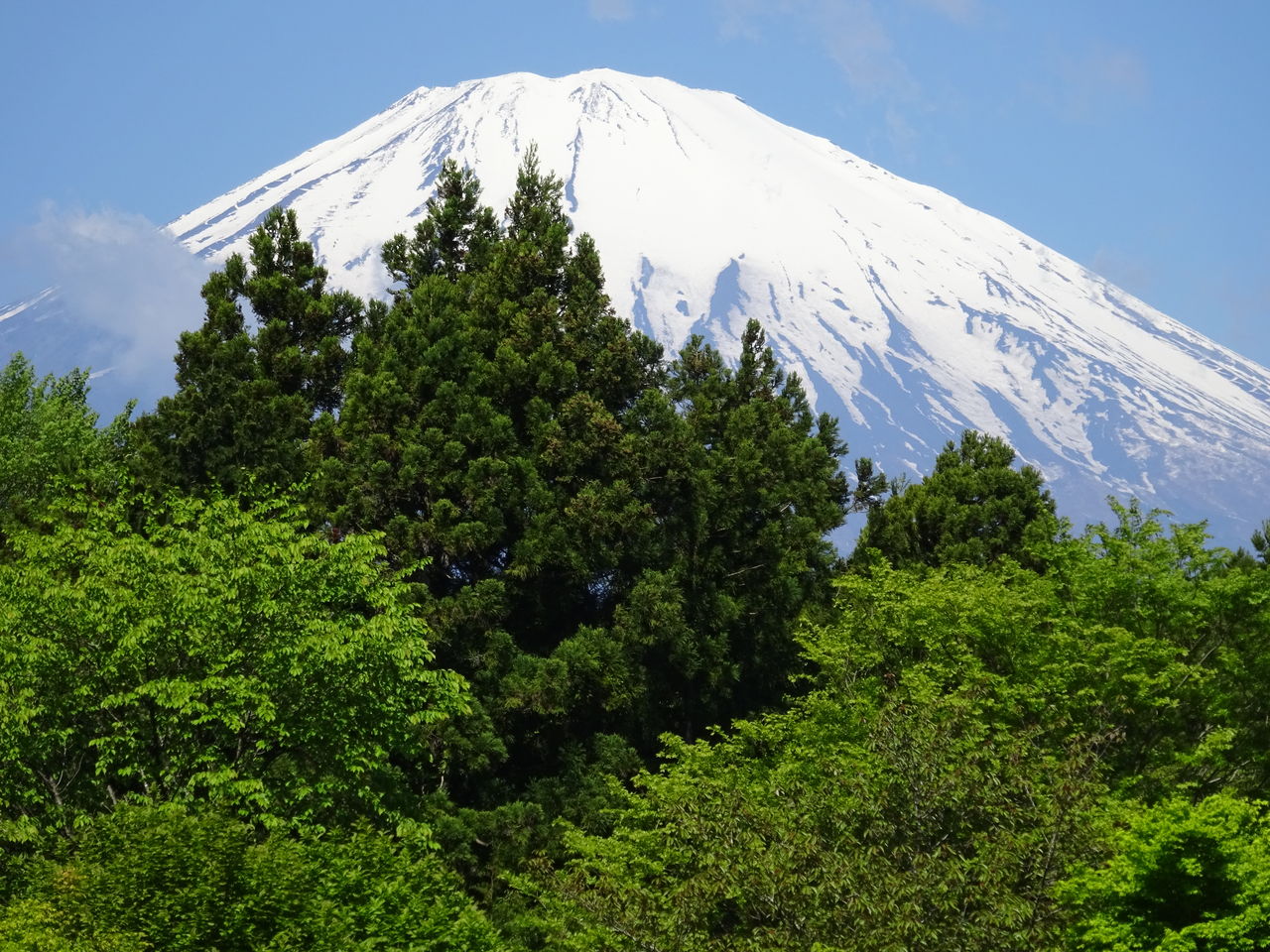 タケダダイスケの 地底探検