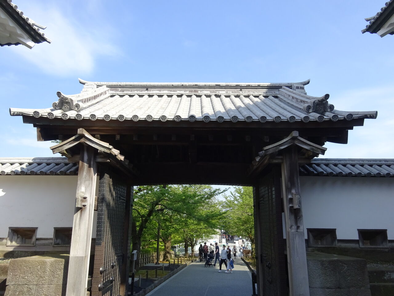 タケダダイスケの 地底探検 タケダダイスケの 地底探検