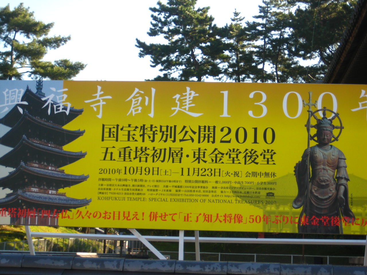 ¶½Ê¡»û¹ñÊõ50ǯ¤Ö¤ê¤Ë¸ø³«