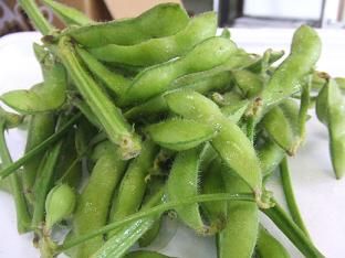 日本一の枝豆産地へ