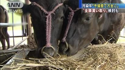 「殺生（せっしょう）」が続く