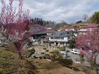 名物「大黒まんじゅう」