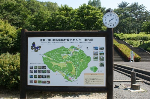 新緑の逢瀬公園（郡山市）