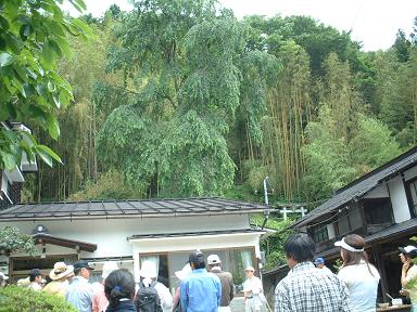「竹の子掘り交流会」０１